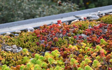the cost of Dunstone green roof installation