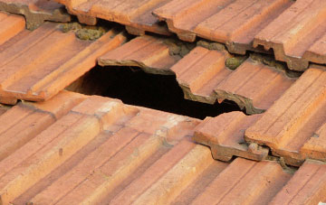 roof repair Dunstone, Devon